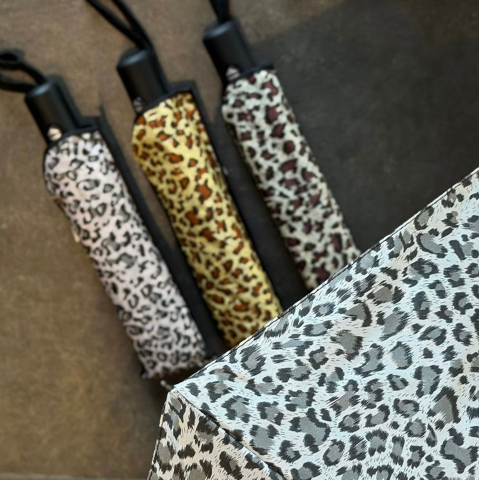 תמונה ממוזערת: מטריה מנומרת מתקפלת