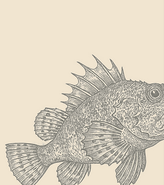 Gallineta página principal Restaurante Carajo