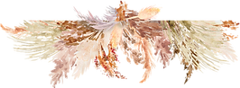 bord11.png