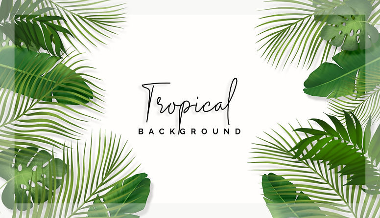 tropical_background.jpg