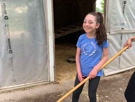 Growing Together: Our Windreach Farm Journey Since 2018