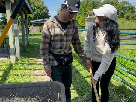 My Journey as an Educator: Lindsay 