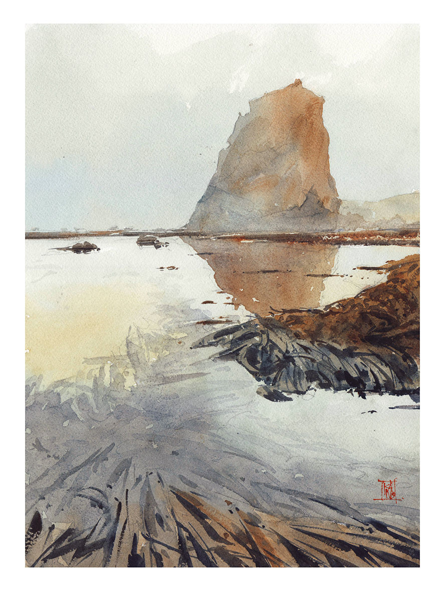 santa cruz