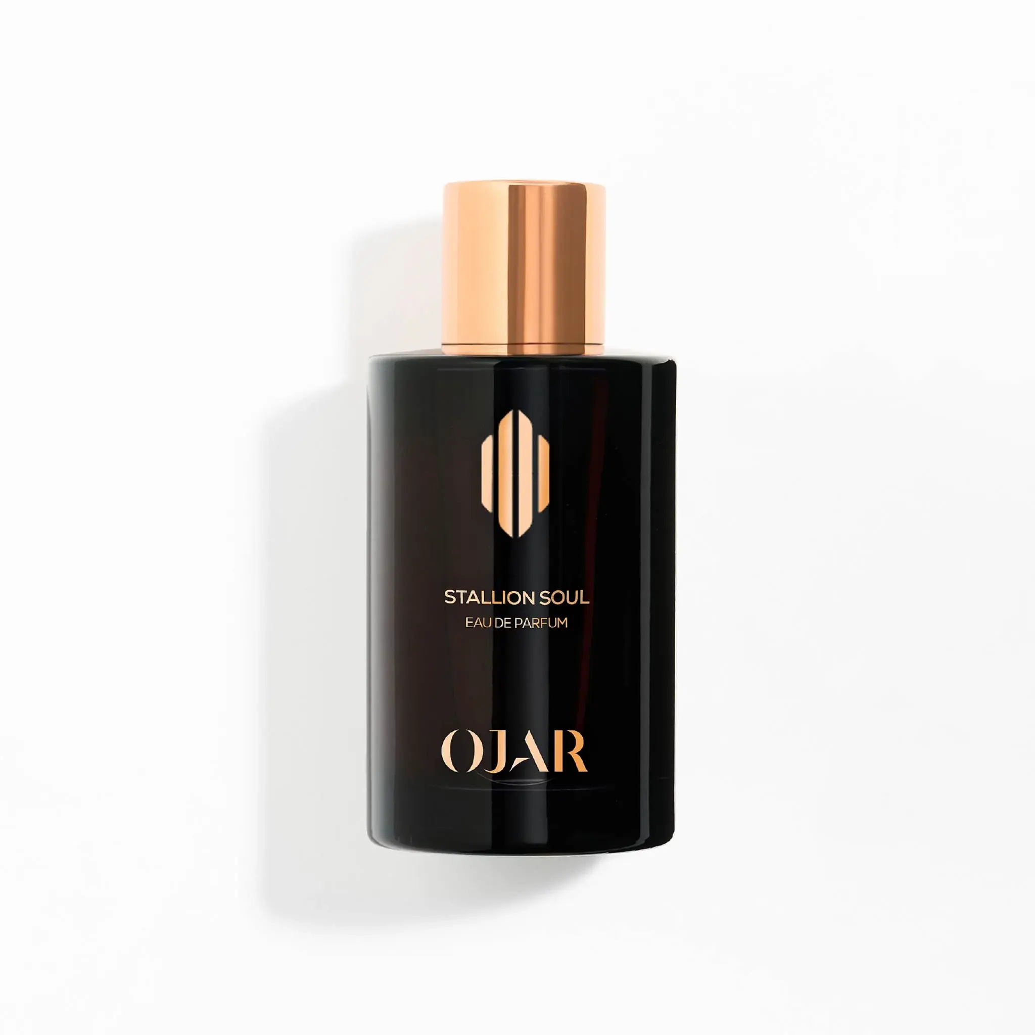 STALLION SOUL 100ML