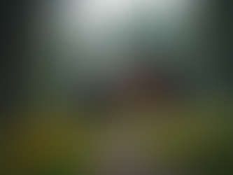 O Mistério por Trás da Cabana do Feiticeiro: Significado da Cabana Mística