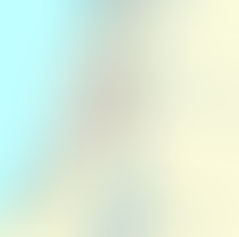 Quelle est la légitimité des juifs sur la terre d'israël ?