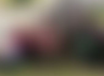 Ya somos más los que hemos abrazado el Nordic Walking