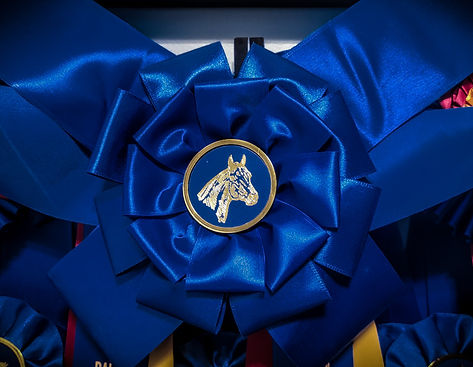 2022 February Posse Show