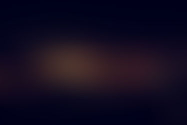 En direct du nid du Phoenyx :