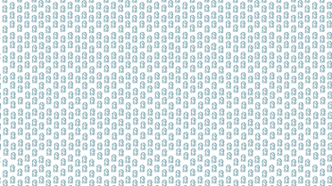 IMG_0148.PNG