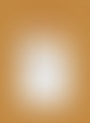 Boletim Igreja Nova 07 Dezembro