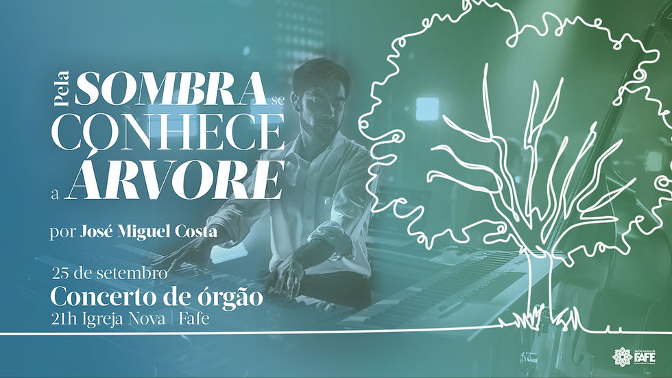 Pela sombra se conhece a àrvore