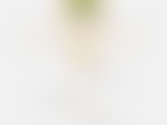 "Catequese Paroquial"