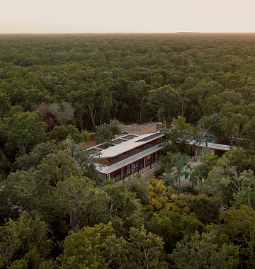 Casa Tropical Jungle View