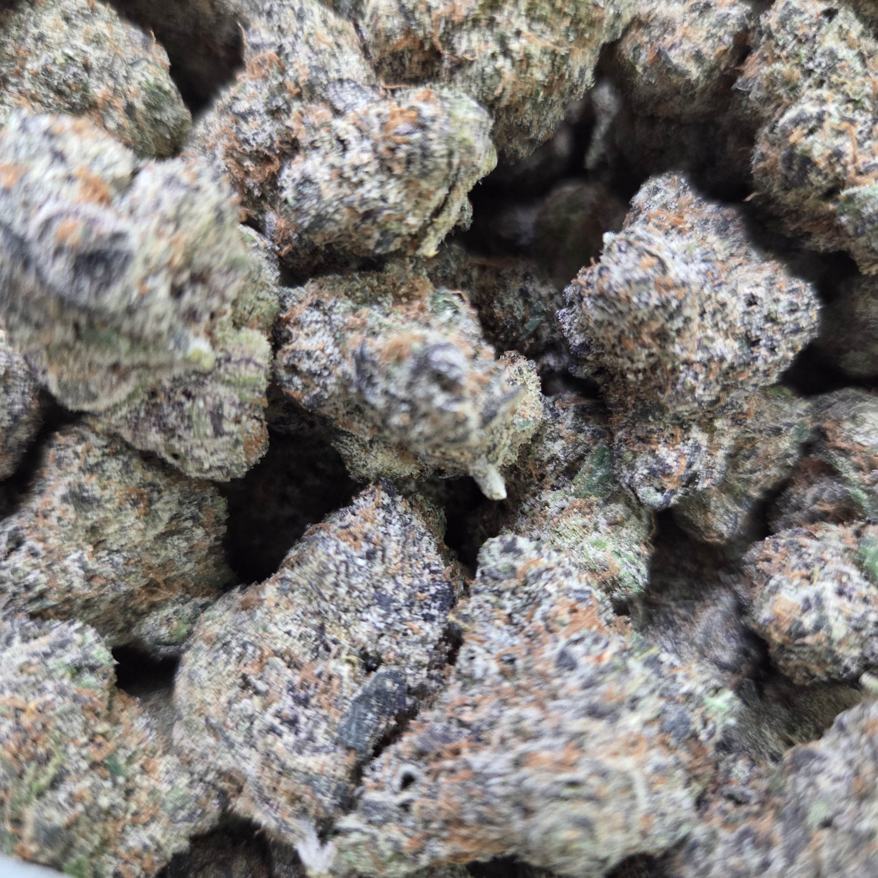 JOLLY RANCHER