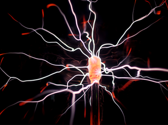 מחשבות קצרות על "הלב" 