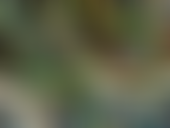 חידת הבלבול או הקואן על קול היד האחת