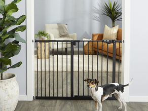 Dog Gate