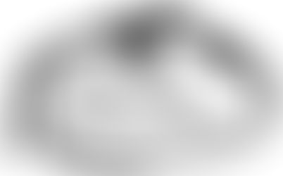 TUG Retractable Dog Leash