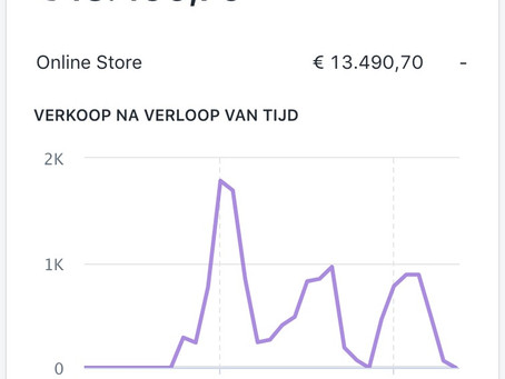 Case Study Webshop 0-13K in 16 dagen