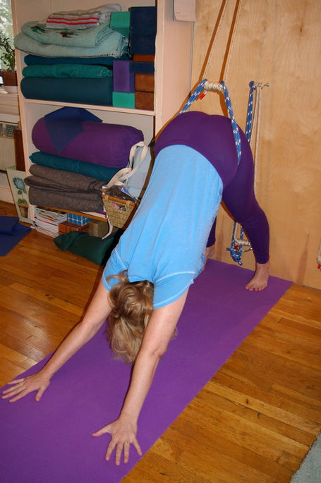 YogaNorma Rope Downward Dog