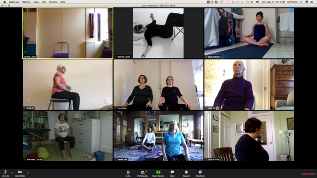 Gentle Iyengar Yoga Zoom Class