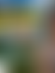 “Doesn’t Feel Like India” — Why Shillong Keeps Surprising the World