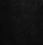Fondo4.png