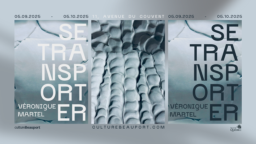 affiche_VM_facebook.png
