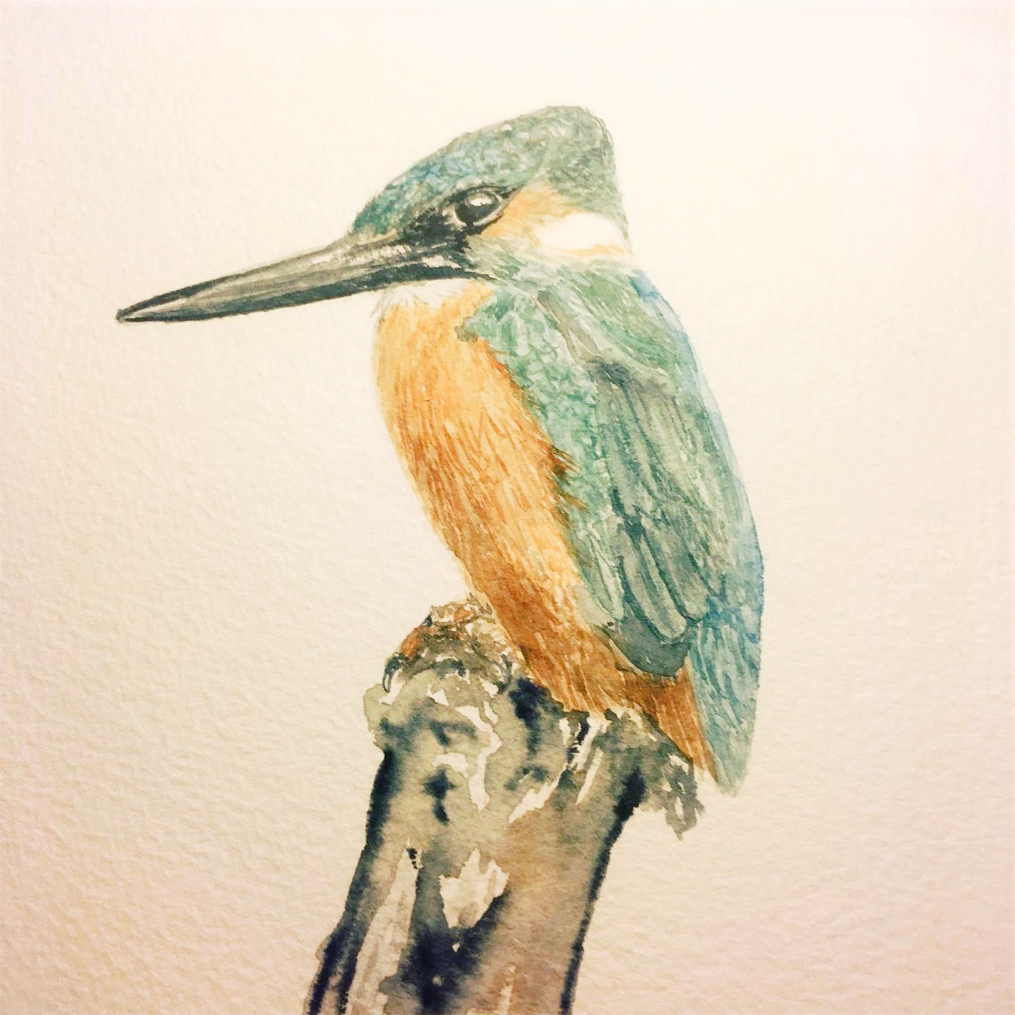 The kingfisher