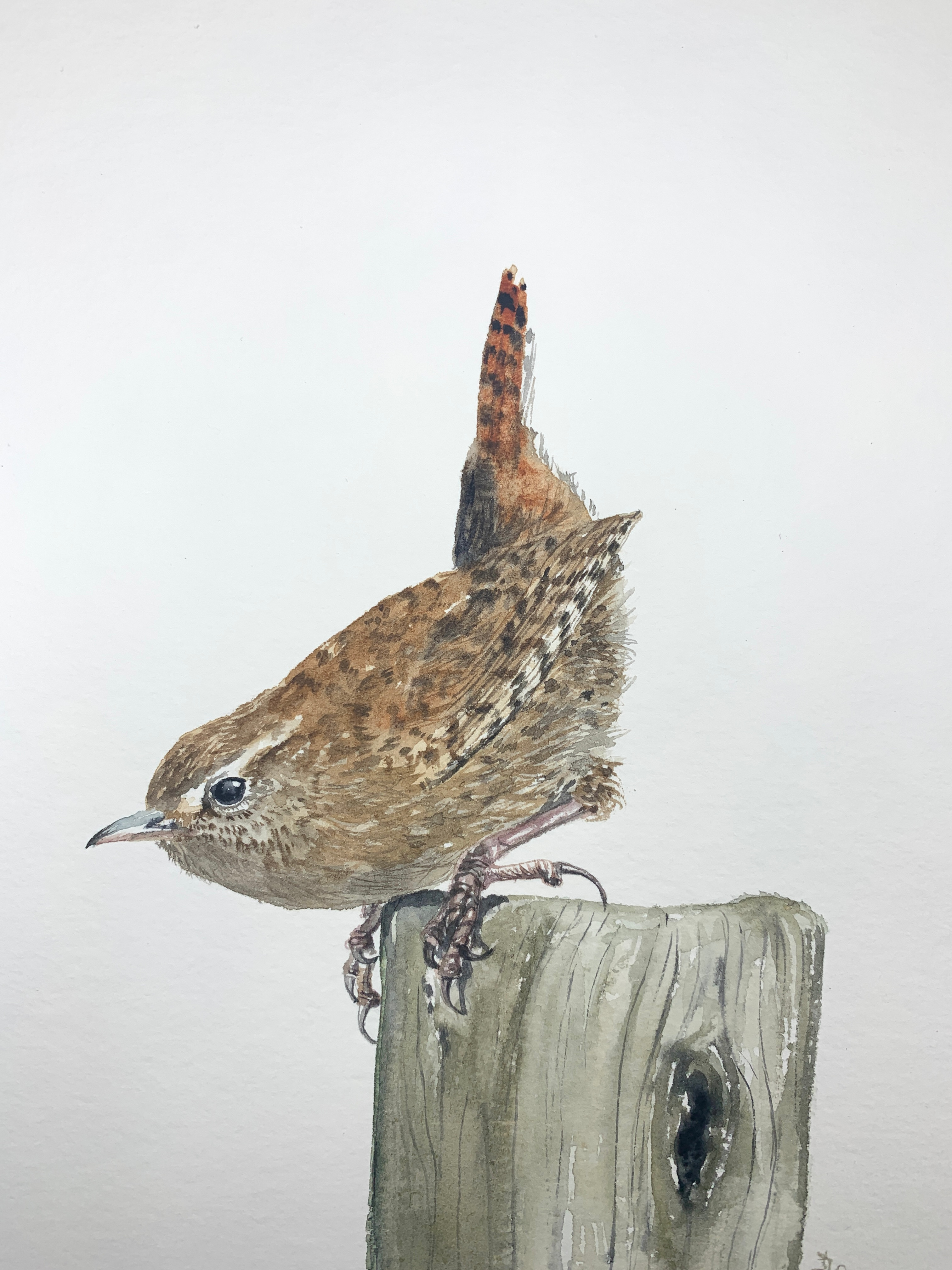 Greetings cards and envelope