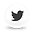 Twitter Globe