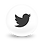 Twitter Globe