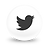 Twitter Globe