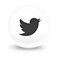 Twitter Globe