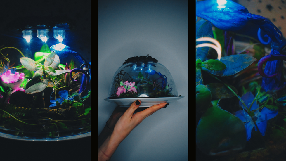 Terrarium prop