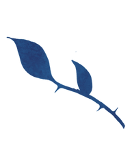 leaf small.png