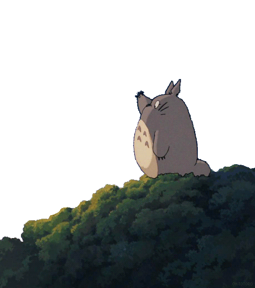 animesher.com_studio-ghibli-totoro-transparents-403754.gif