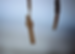 Cross_edited.png