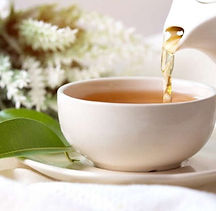 cha-branco-white-tea-1-2-1024x683.jpg