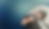 Untitled design (99).png