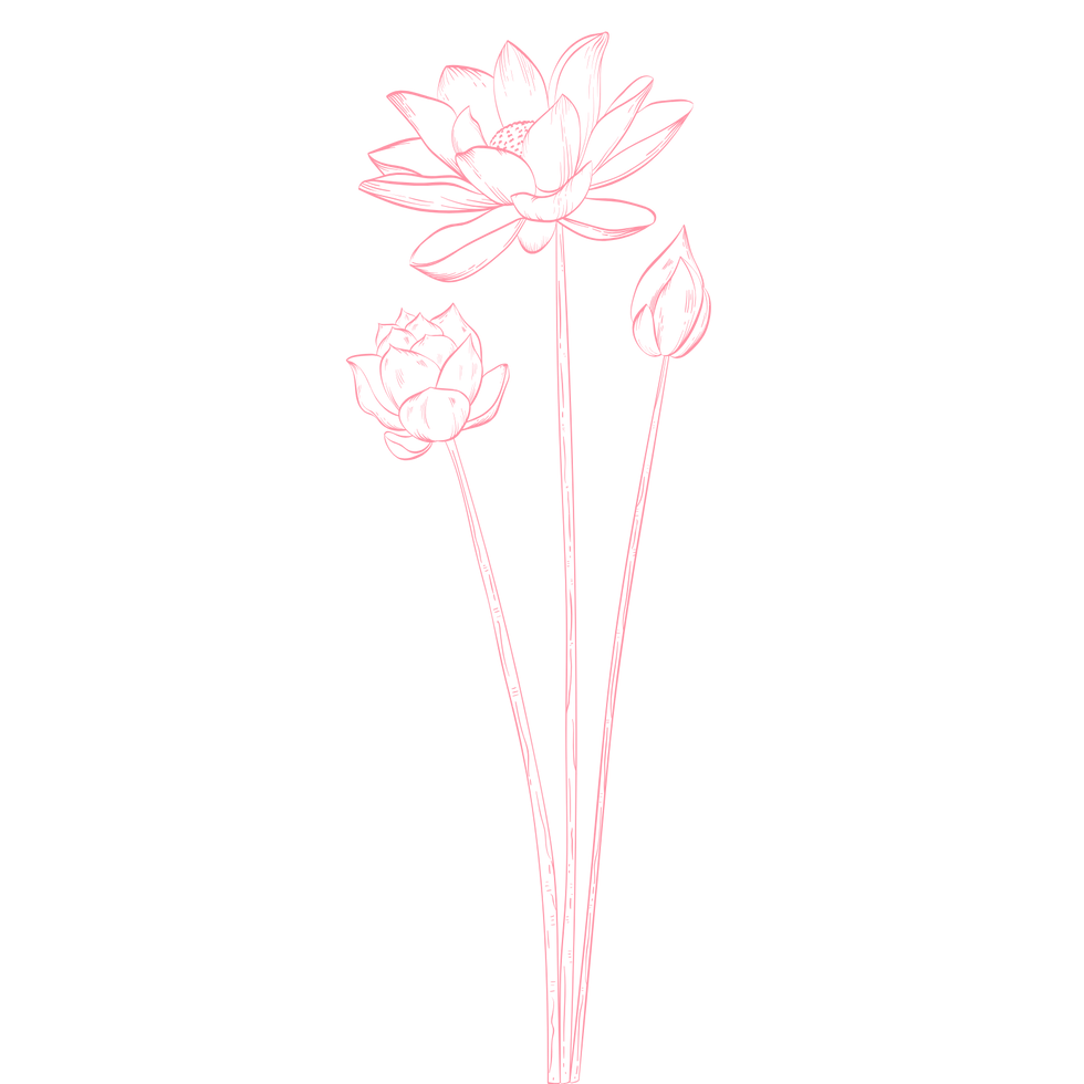 Flower Graphic