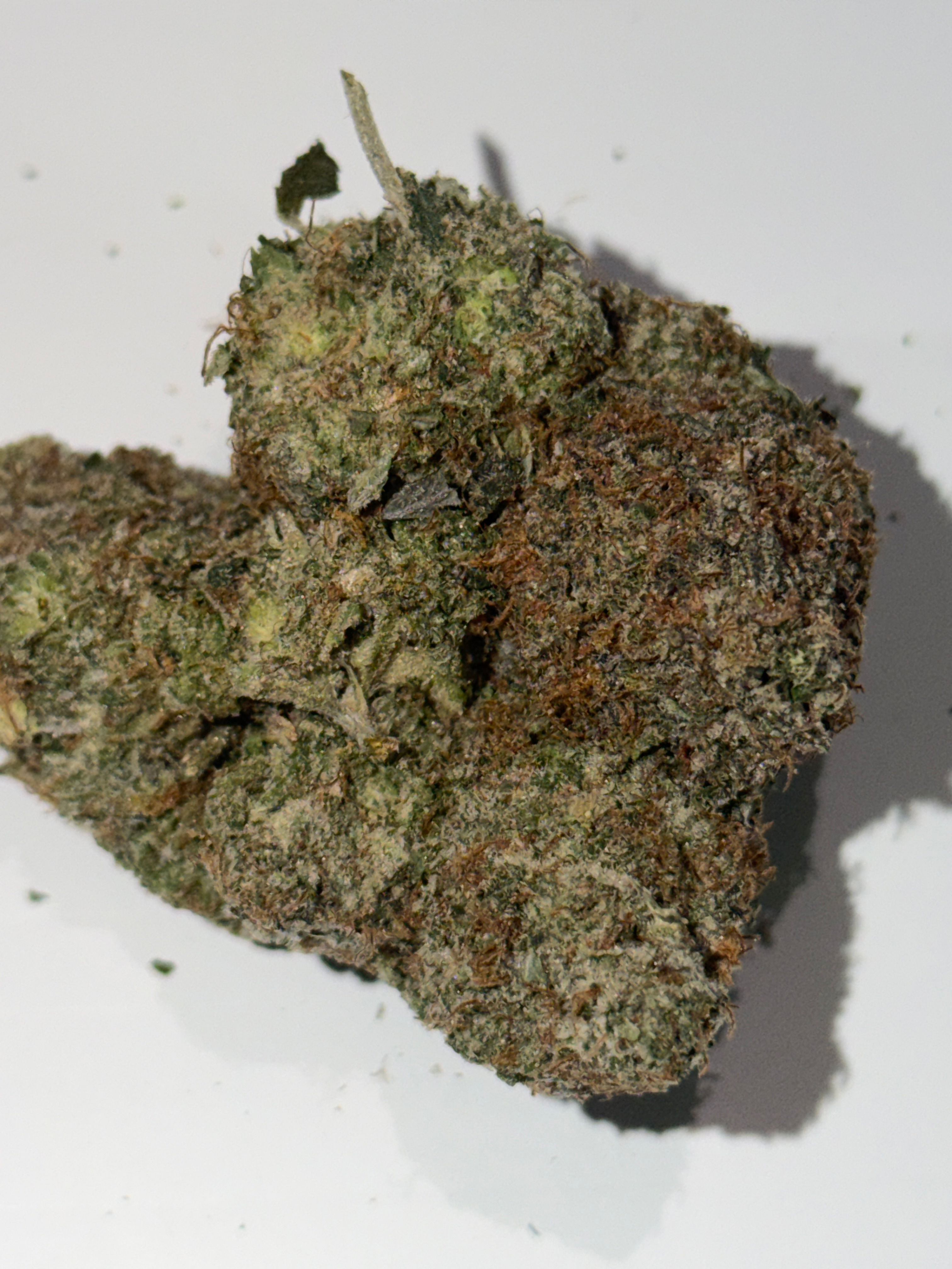 Black Tuna Kush ⭐️⭐️⭐️⭐️⭐️ ⛽️ 