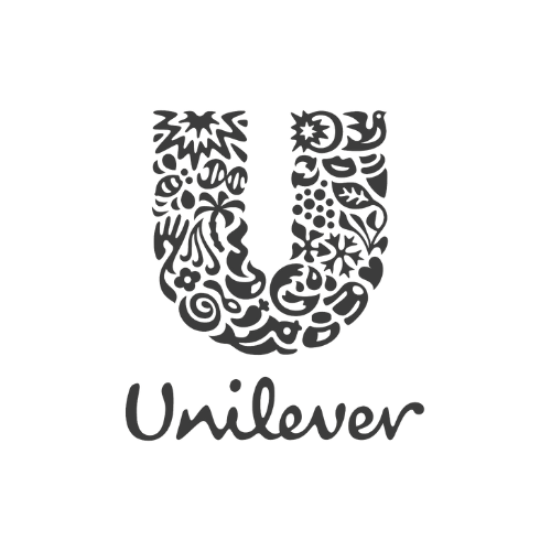 Unilever ana lopez digital marketing.png
