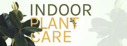IndoorPlantCare_PreviewThumbnail