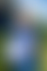 3rd Prize Winner in 9th Satya Dharma Gita Choral Composition Competition Mixed Choir Category!