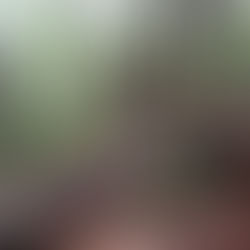 רשת של שותפויות - יותר טוב ביחד!?