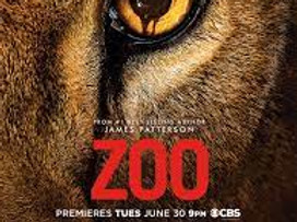 zoo.jpeg
