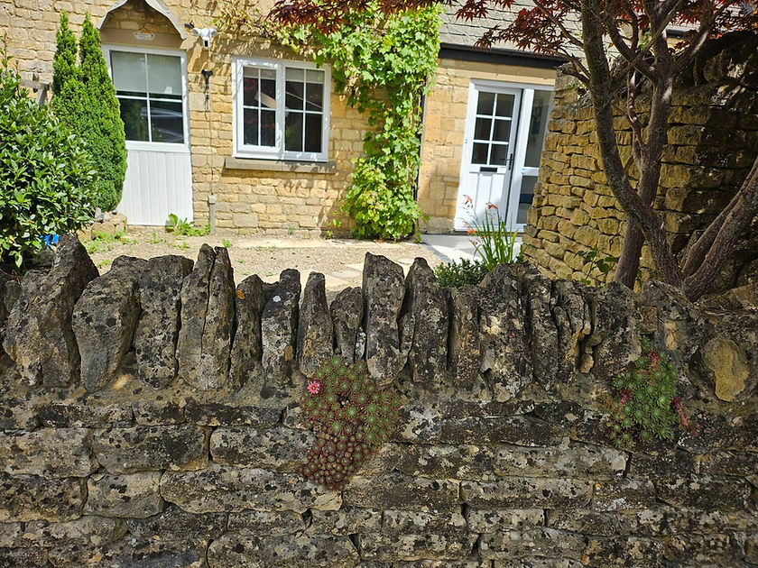 Front Garden.jpg
