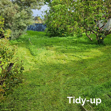 WhatsApp Image 2025-06-04 at 12_edited.j